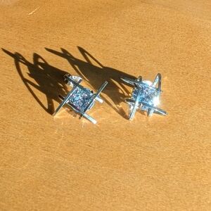 NWOT Beautiful Earrings